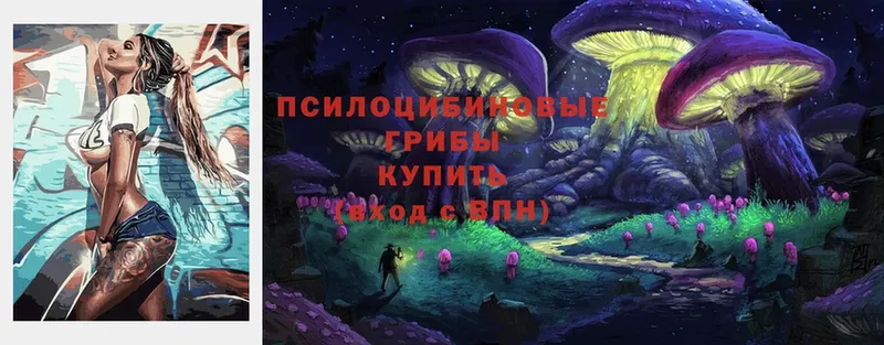 это официальный сайт  Новодвинск  Псилоцибиновые грибы Cubensis 